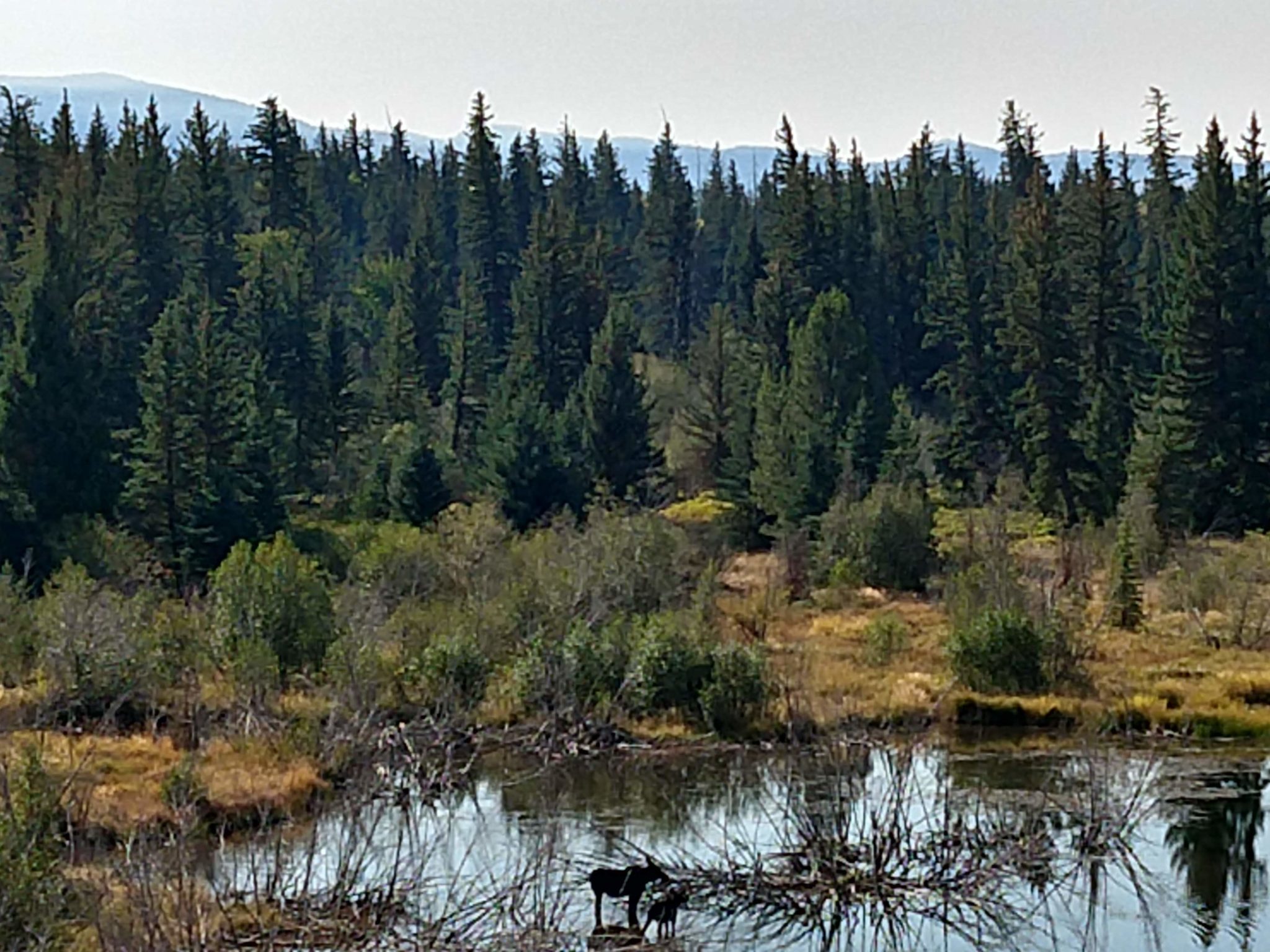 Grand Teton National Park