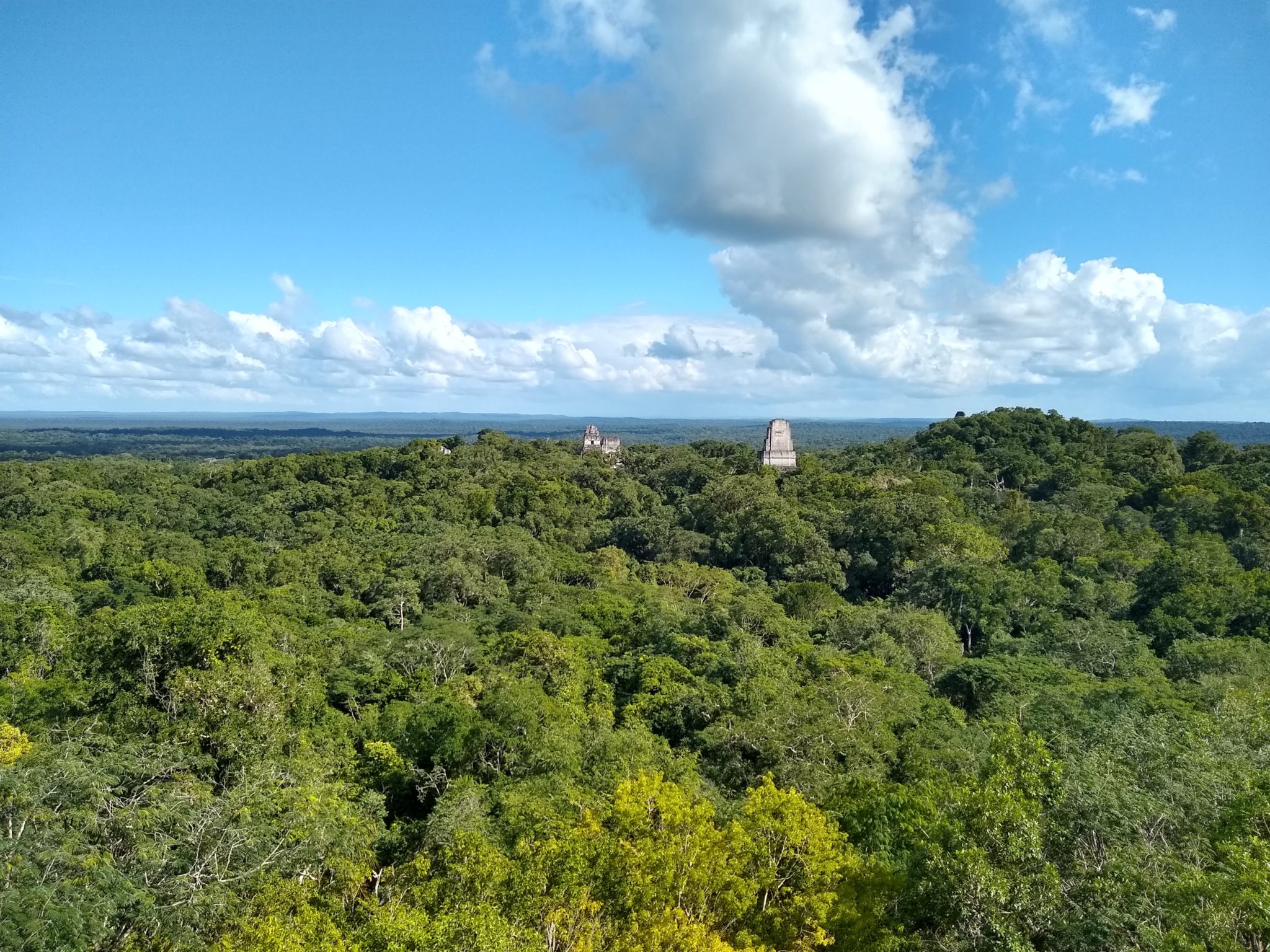 Tikal