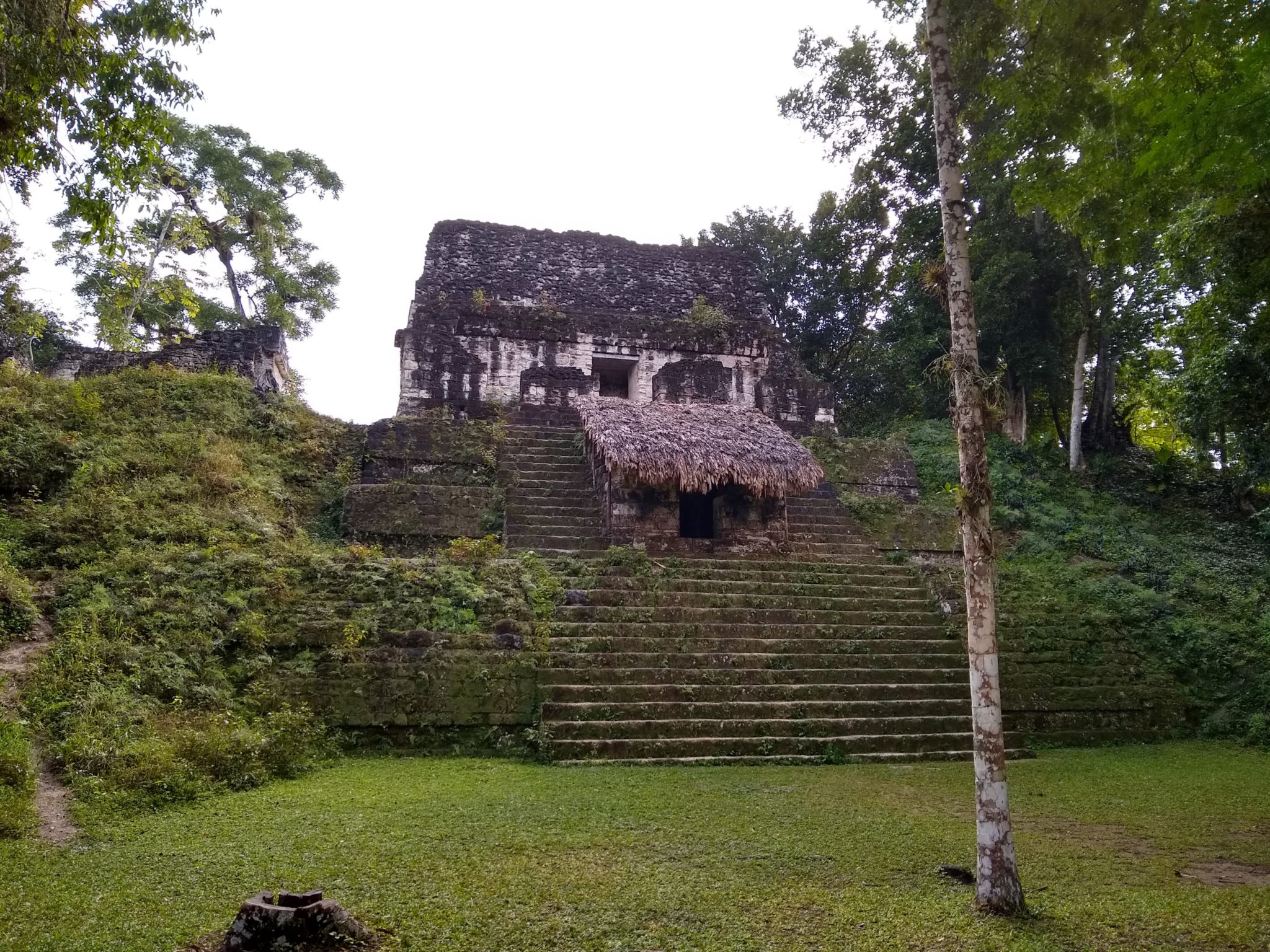 Tikal