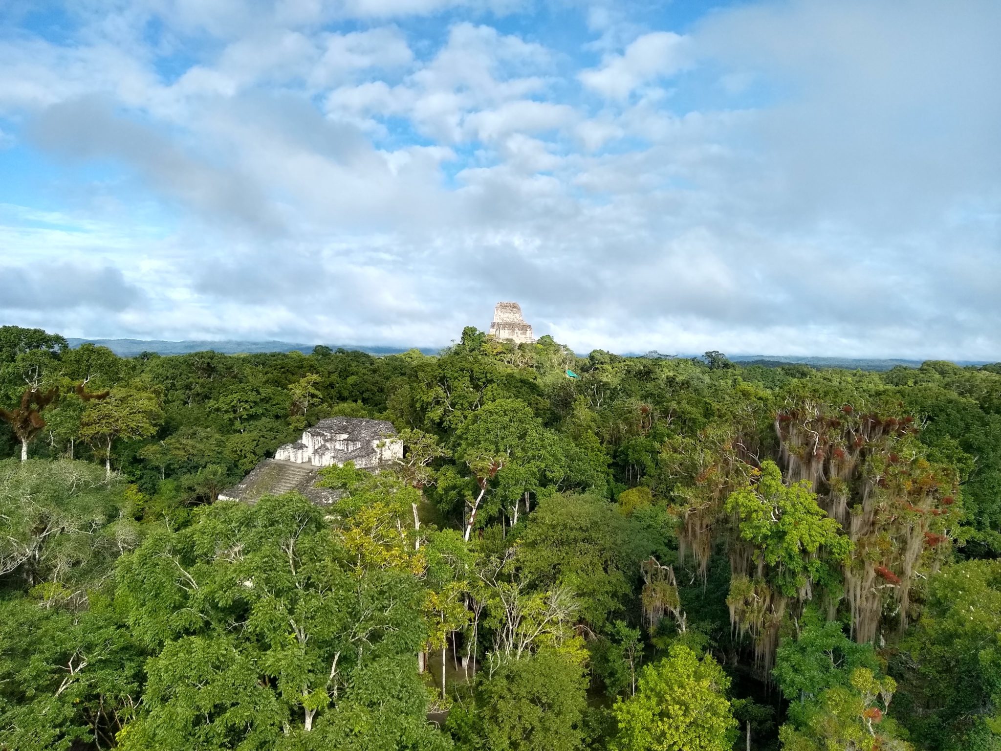 Tikal